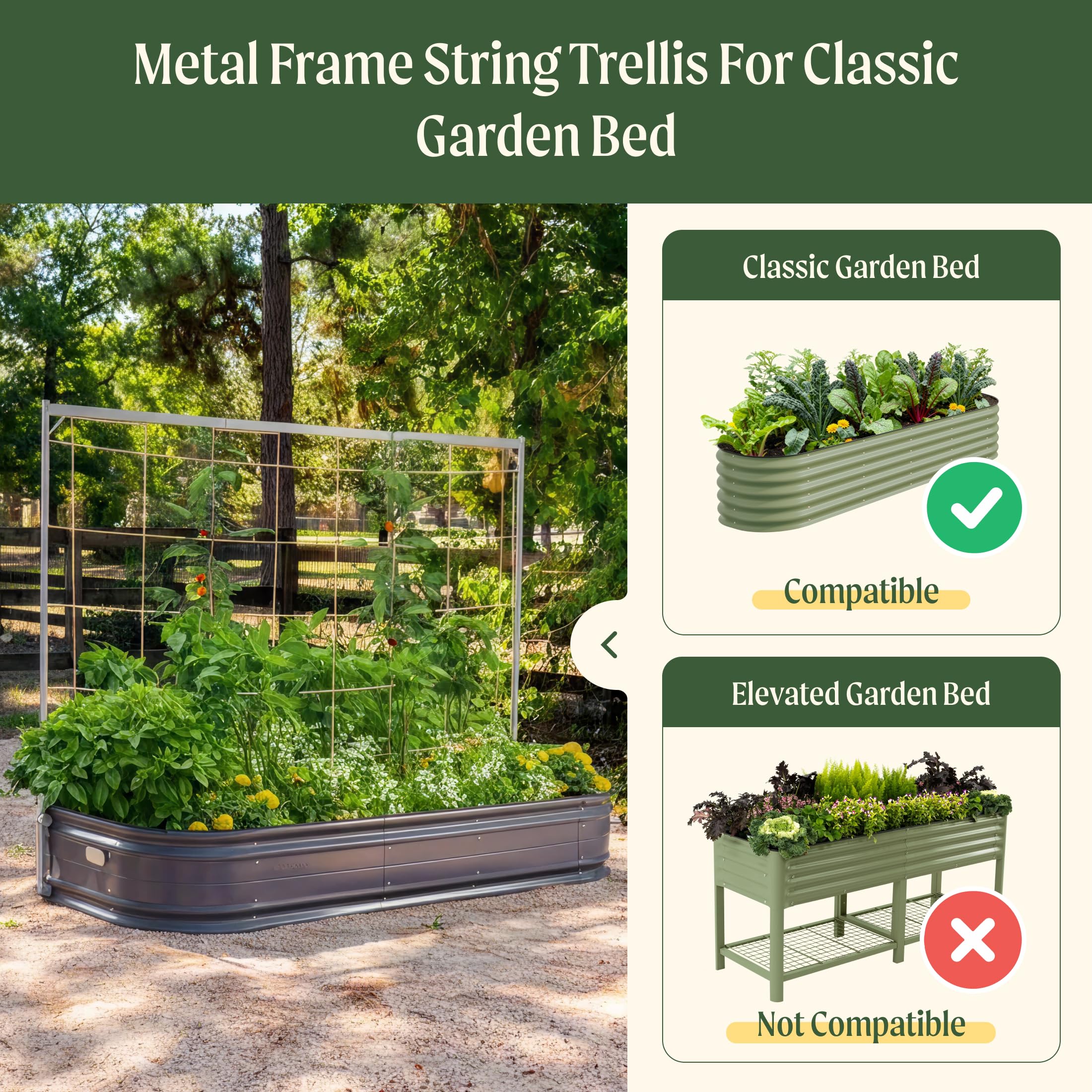 VegoGarden 304 stainless steel rings provide durable, versatile plant support options.