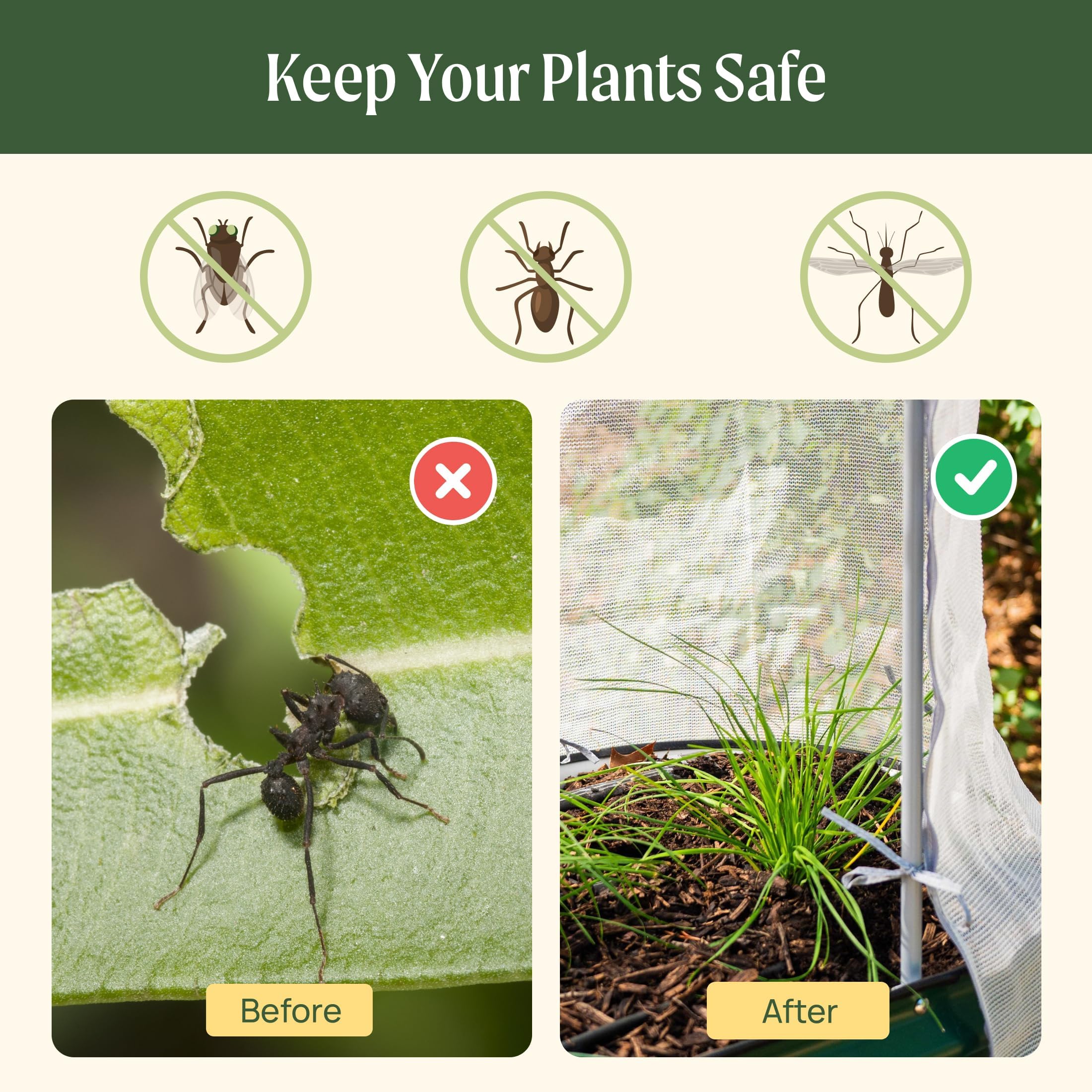 Vego Garden 65% light transmittance supports healthy plant growth under cover.