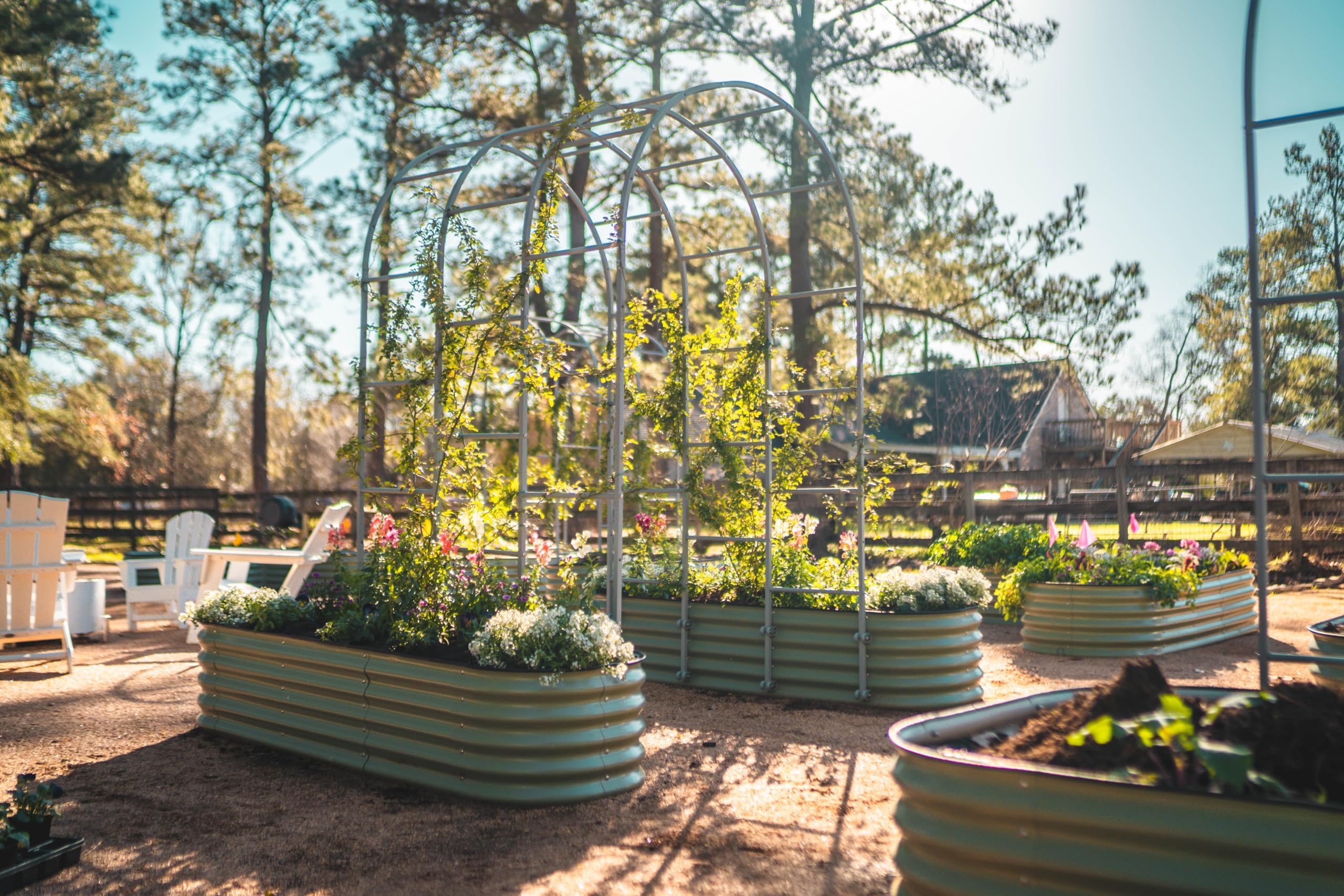 Vego Garden complete gardening system links outside bed to daily life