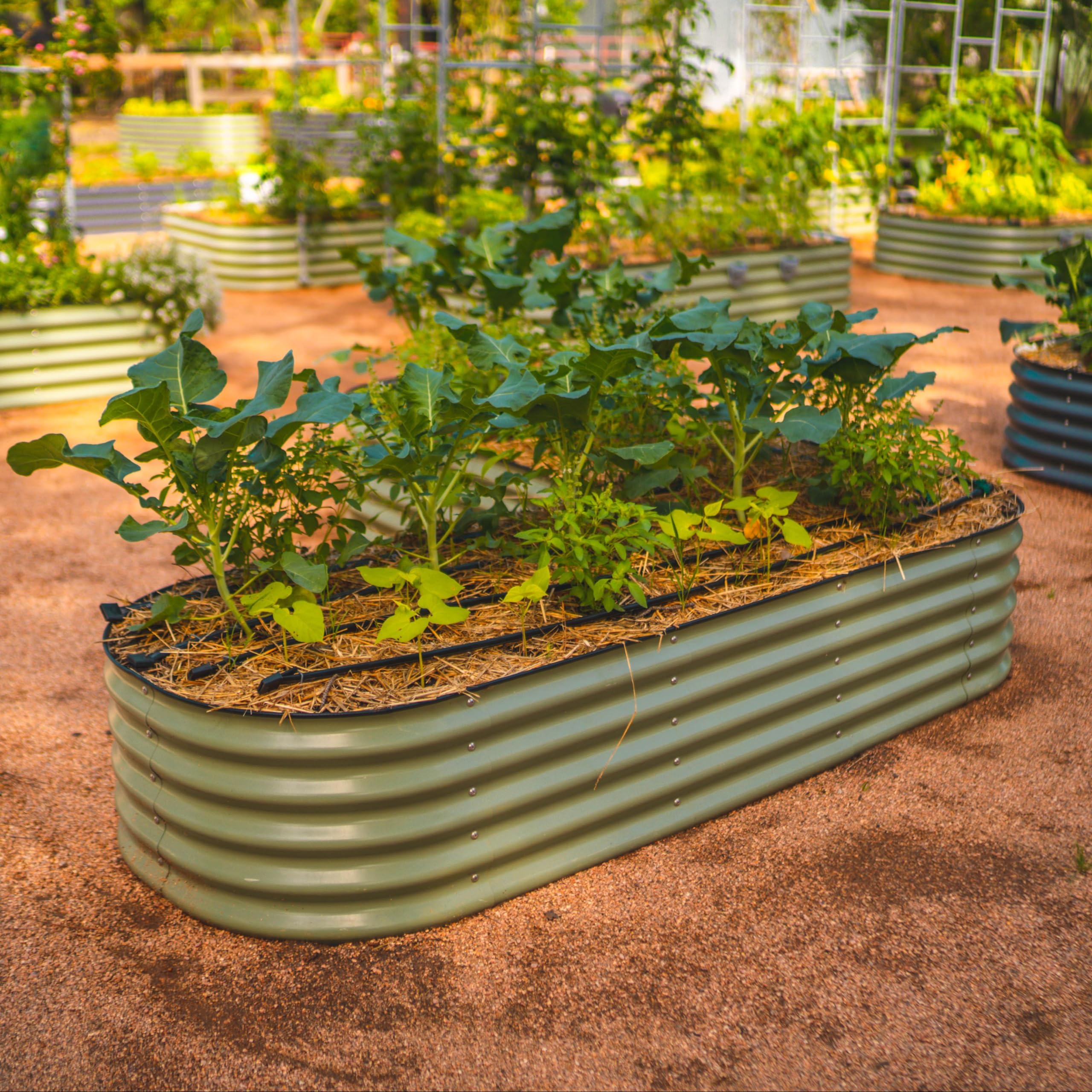Vego Garden coated steel with eco-friendly finish withstands outdoor use.