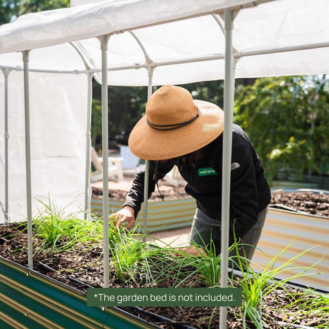 Vego garden pest protection reduces pest pressure while growing