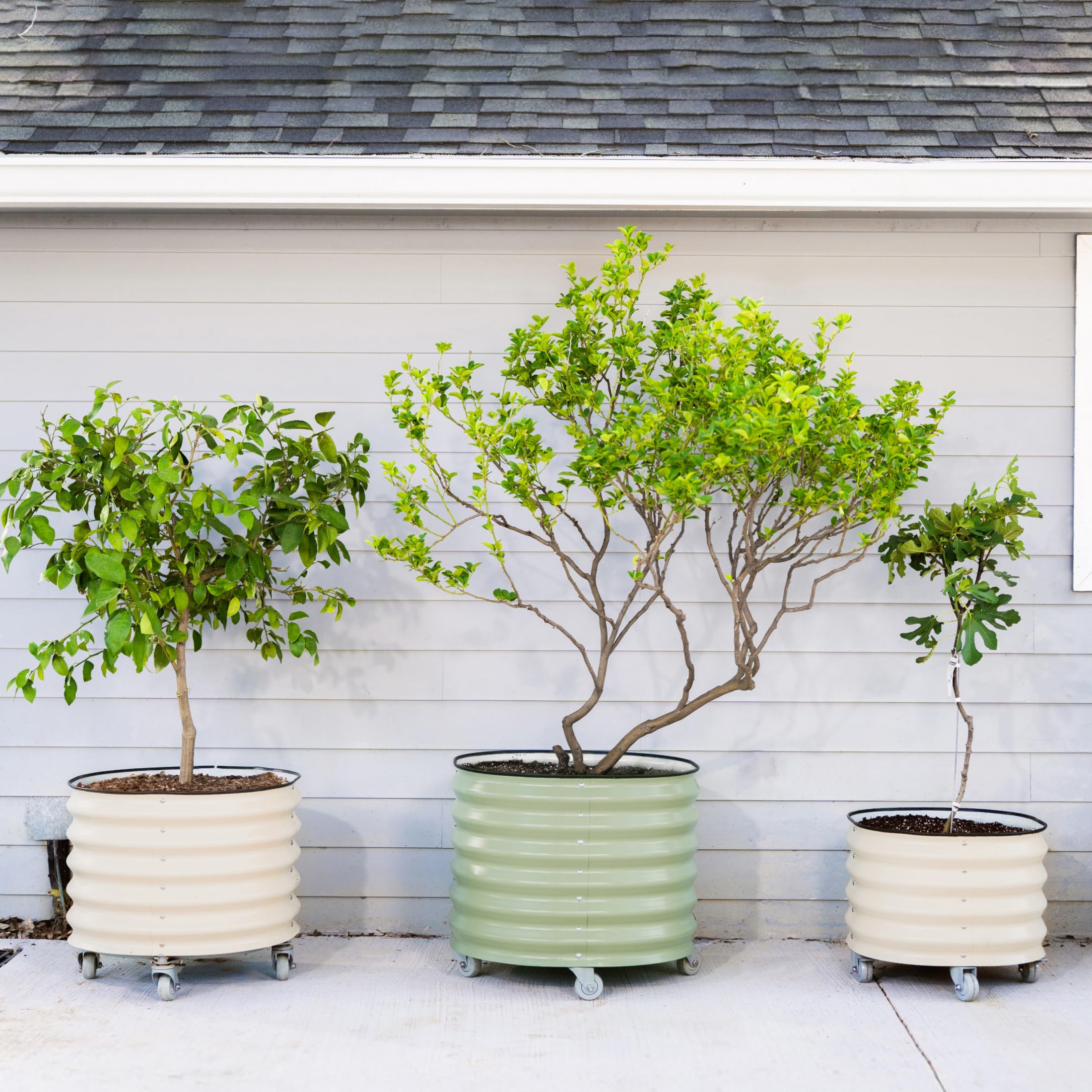 Vego Garden side profile of the planter highlighting generous depth for trees and veggies