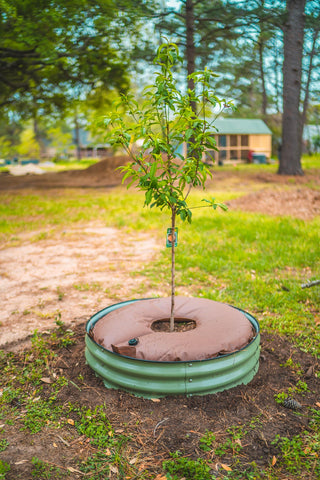 Vego Garden slow-release watering provides steady moisture for hours.