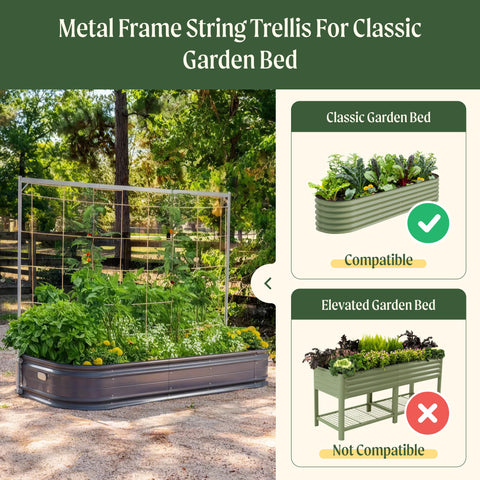VegoGarden sturdy metal frame with 4mm twine supports vigorous plants.