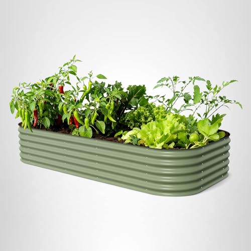 Vego garden supports vegetables, flowers, and herbs in a scalable system.