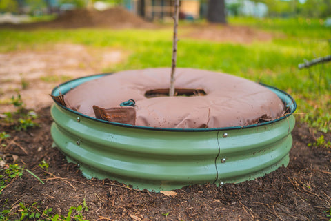 Vego Garden water-conservation design reduces runoff and evaporation.
