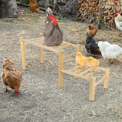 Vehomy chicken perch set up outdoors as a jungle gym for poultry.