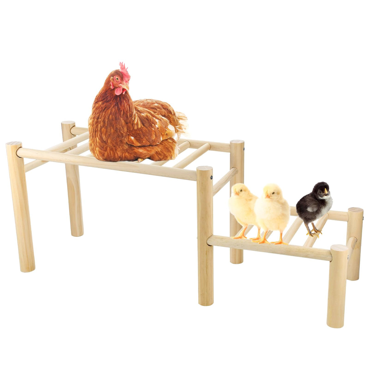Vehomy chicken perch with two-height roosting ladders for easy climbing.