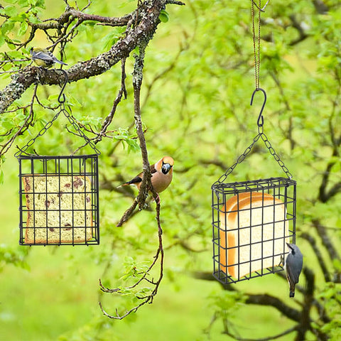 Velarionna suet feeder grid design supports several birds feeding at once.