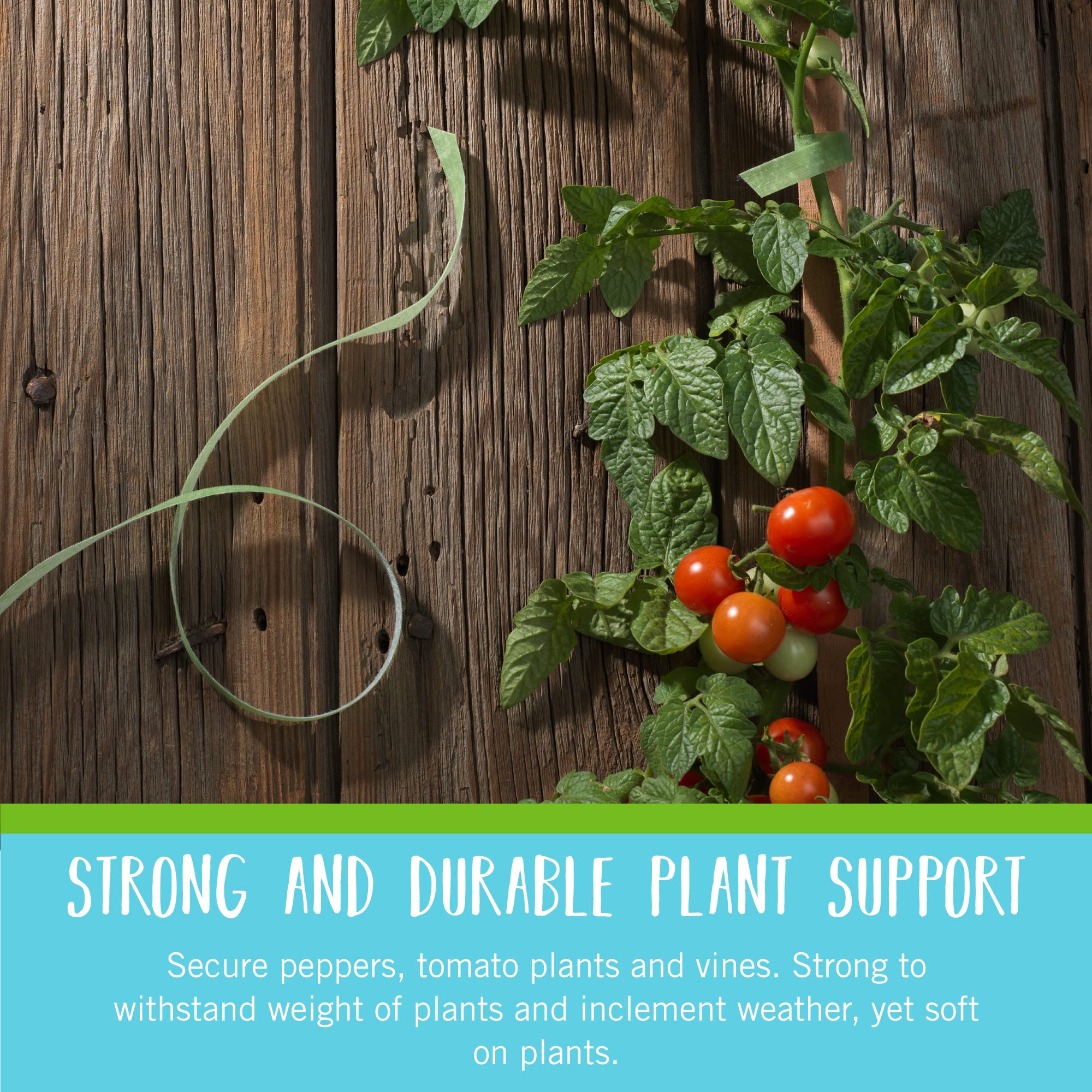 Velcro Brand garden ties secure tomato stems and trellises for sturdy support.