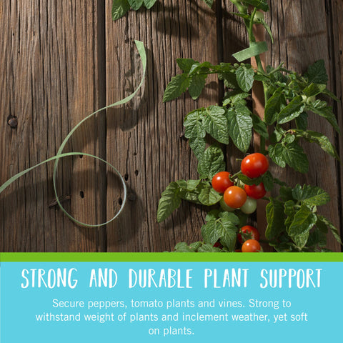 Velcro Brand garden ties secure tomato stems and trellises for sturdy support.