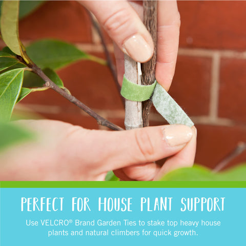 Reusable, cut-to-length Velcro Brand ties offer versatile garden organization.
