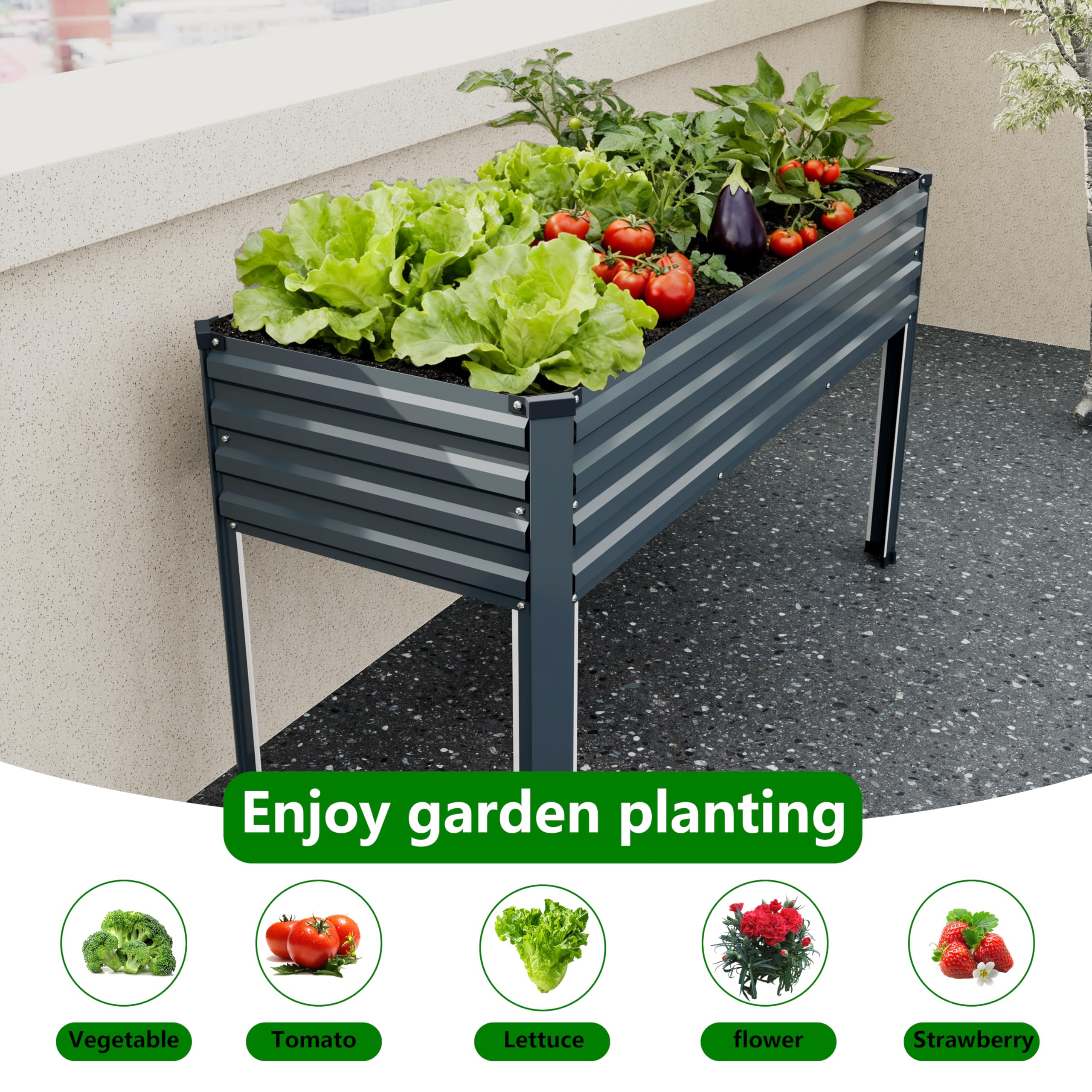 Spacious planting area suitable for vegetables and herbs