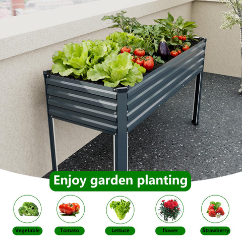 Spacious planting area suitable for vegetables and herbs