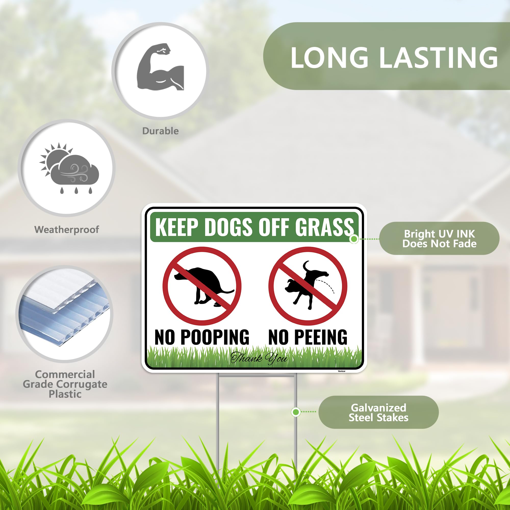 Venicor ground stake metal enables quick, tool-free installation in your lawn.