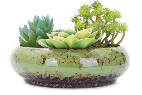 VanEnjoy 7.3-inch round succulent planter with drainage hole for healthy plant care