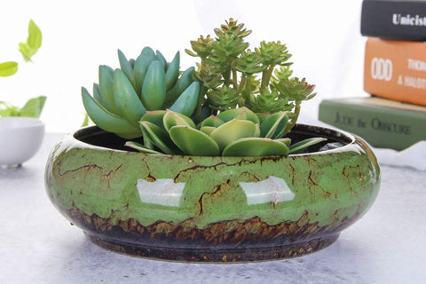 VanEnjoy round succulent display planter in green with a glazed finish