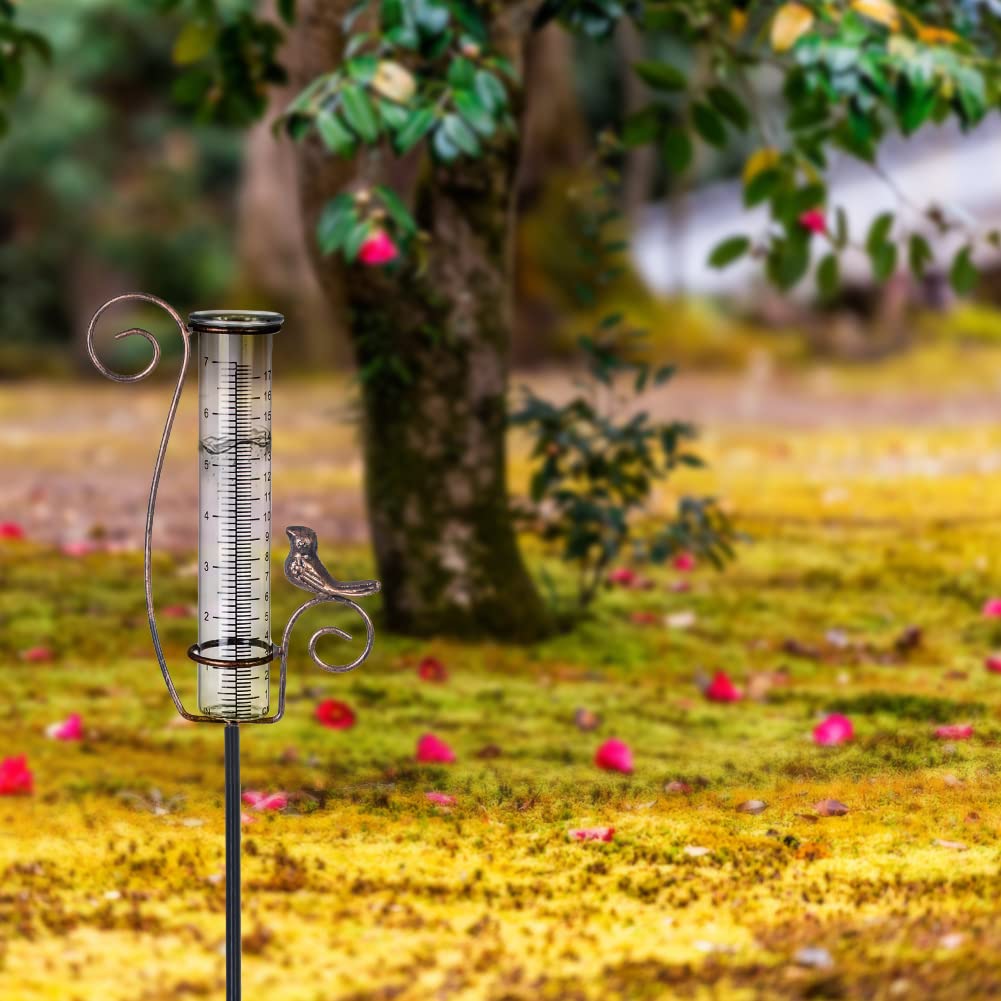 Venniy rain gauge suits flower beds, patios, and lawn borders.