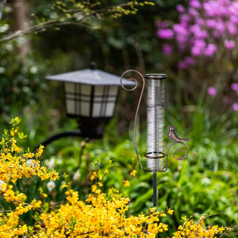 Venniy garden rain gauge with metal stake adds decorative flair while measuring rain.