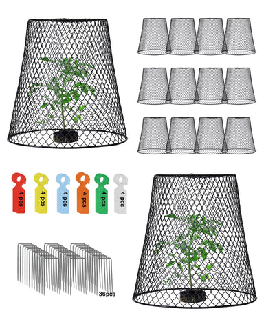 vensovo chicken wire cloche covers in a 12-pack protecting seedlings in a garden