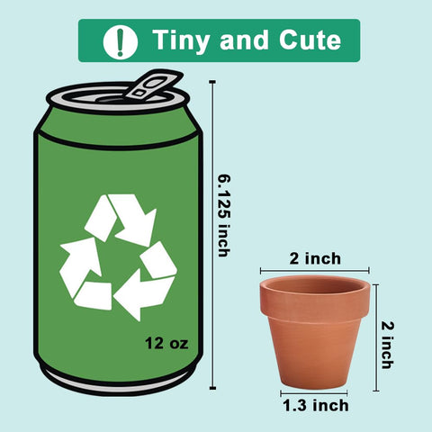 Vensovo mini terracotta pot set for herbs and tiny plants.