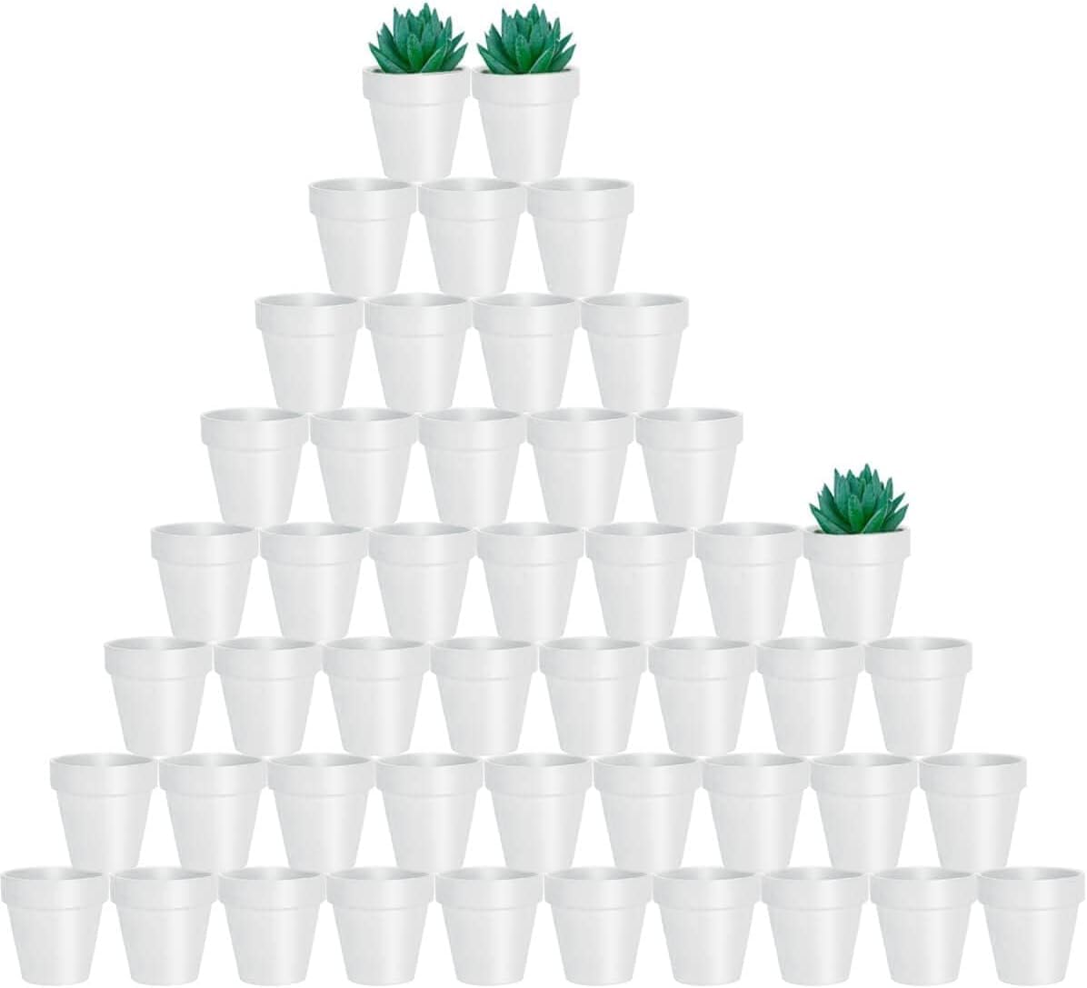 vensovo 2-inch terracotta pot with drainage hole for healthy watering of succulents.