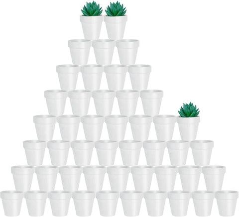 vensovo 2-inch terracotta pot with drainage hole for healthy watering of succulents.