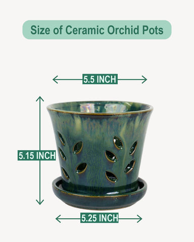 vensovo orchid pot with attached saucer keeps soil contained and makes repositioning easy