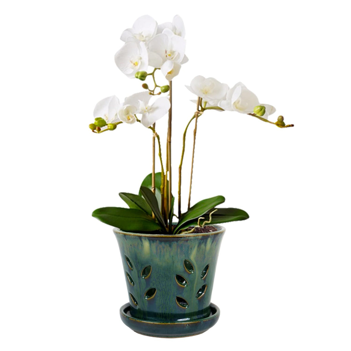 vensovo 5.5-inch ceramic orchid pot with drainage holes promotes healthy root airflow