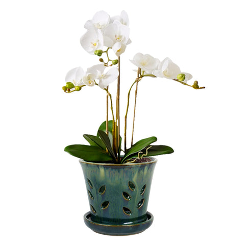 vensovo 5.5-inch ceramic orchid pot with drainage holes promotes healthy root airflow
