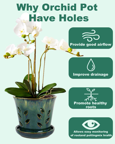 vensovo green ceramic orchid pot versatile for indoor and outdoor setups