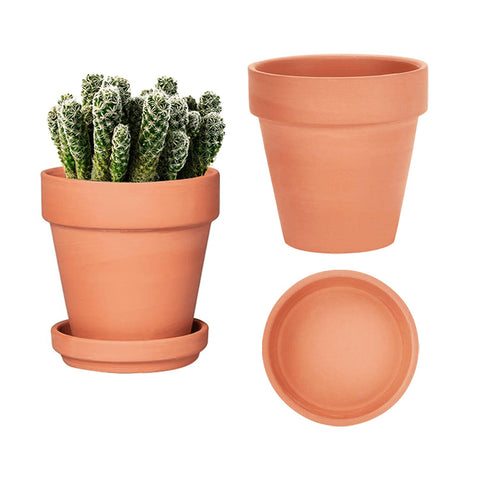 vensovo 6-inch terracotta pots pair with drainage holes for healthy indoor plants.