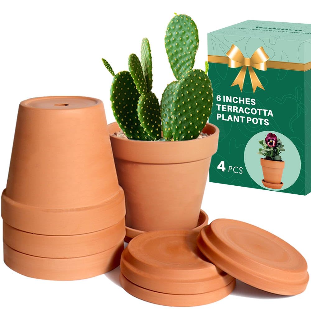 Vensovo 6-inch terracotta pot with saucer—durable, ideal for indoor and outdoor plants.