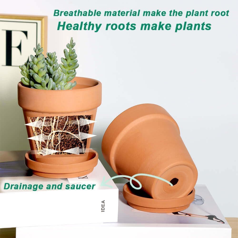Vensovo 6-pack terracotta pots ideal for succulents.