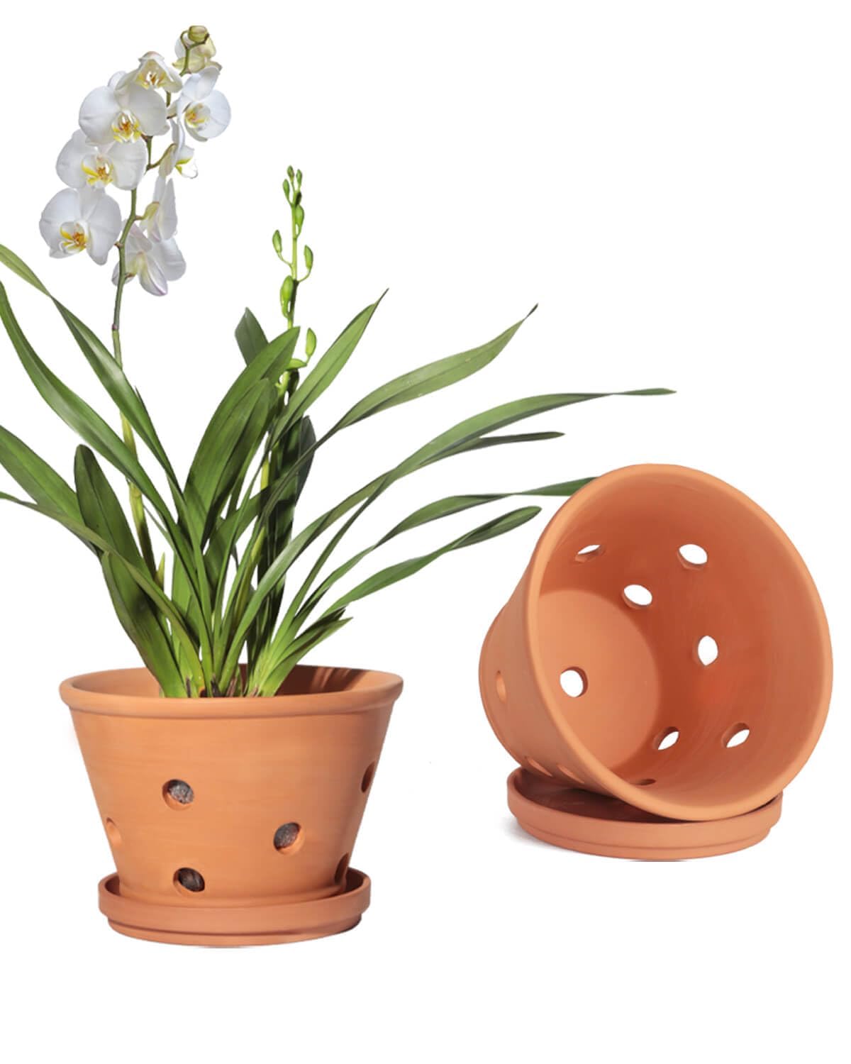 Vensovo 8-inch terracotta orchid pot with holes and saucer promotes airflow for healthier roots.