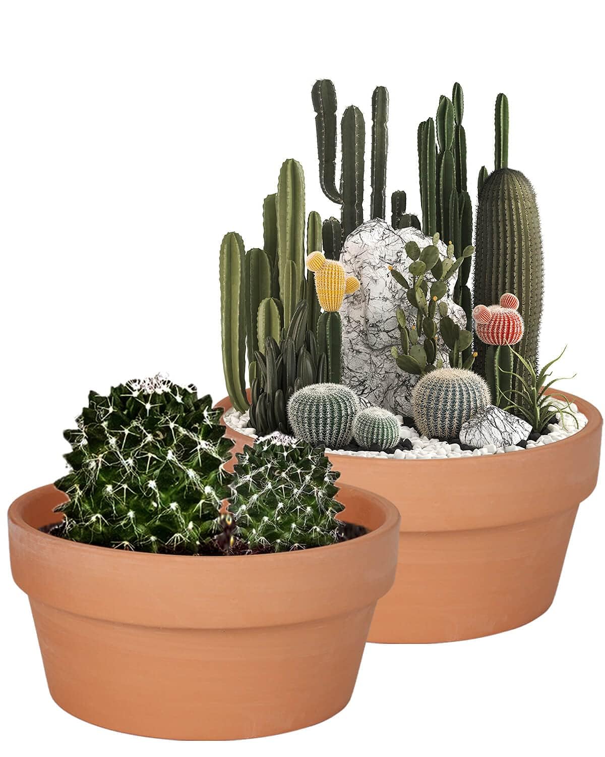 Vensovo 8-inch terracotta shallow succulent pot with drainage hole promotes healthy root airflow.