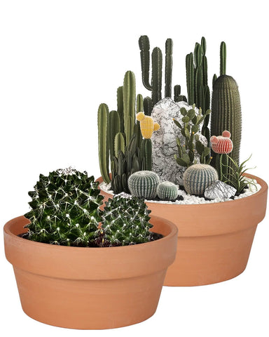Vensovo 8-inch terracotta shallow succulent pot with drainage hole promotes healthy root airflow.