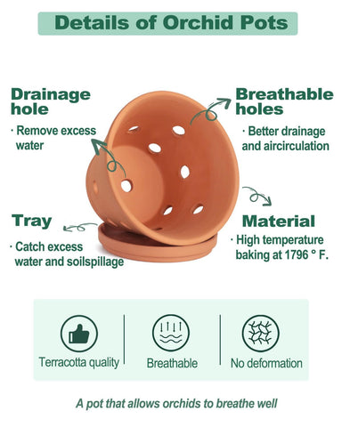 Vensovo air-flow design terracotta pot encourages root air circulation.