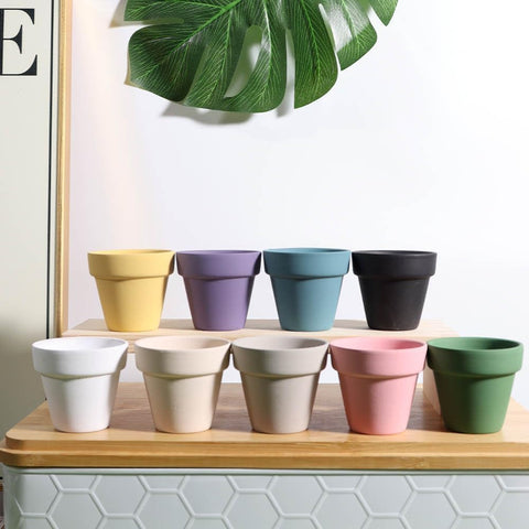 vensovo classroom crafts use mini pots for engaging plant lessons.