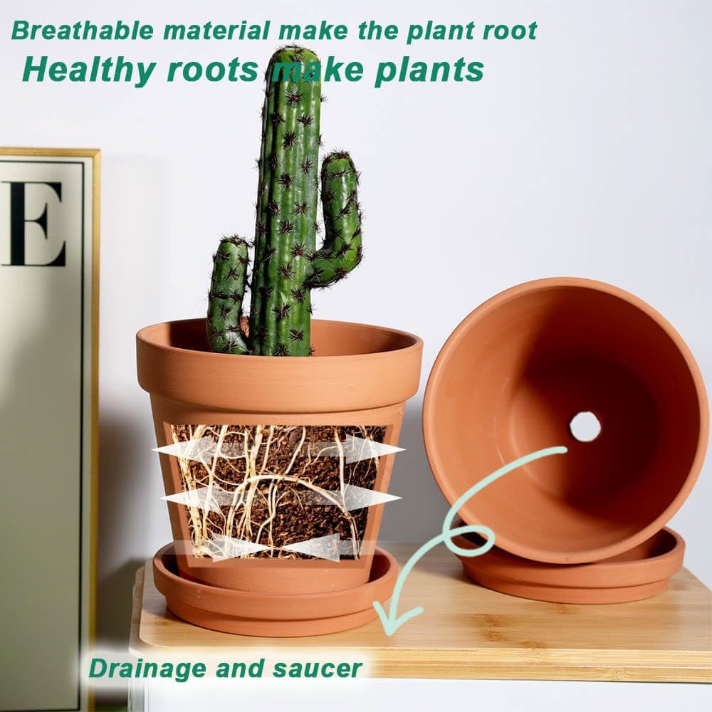 vensovo clay pot with saucer in a sunlit indoor plant corner