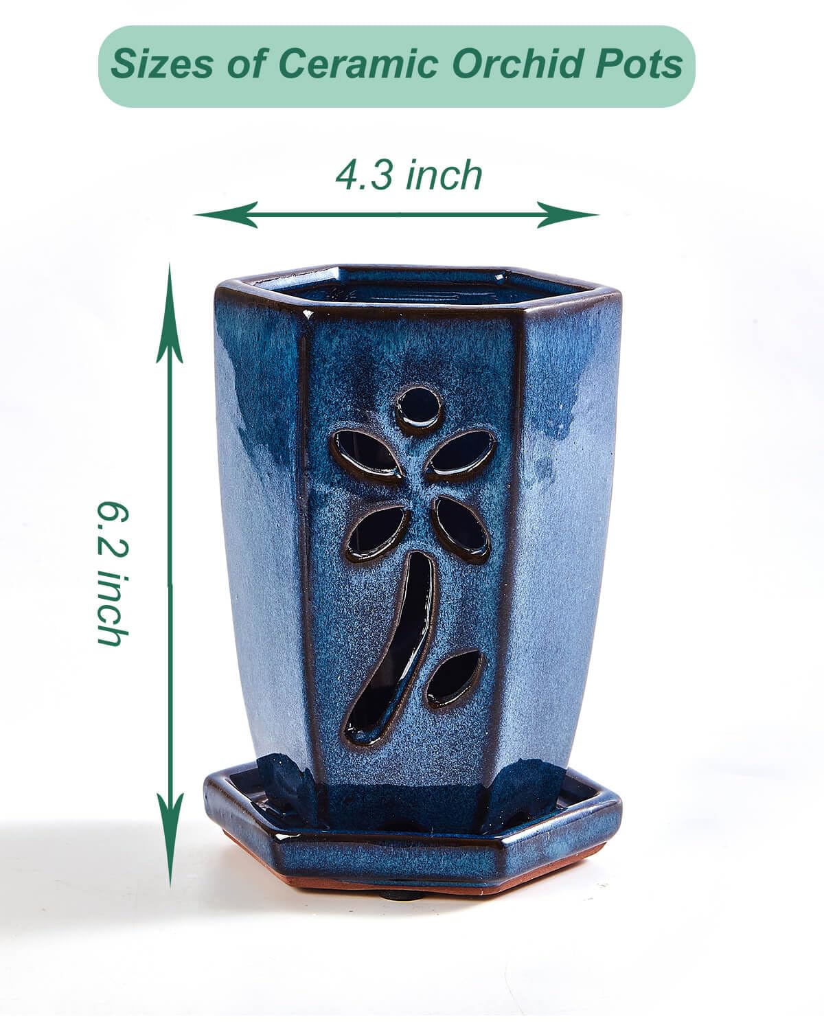vensovo hexagon succulent planter blue closeup showing modern indoor use.
