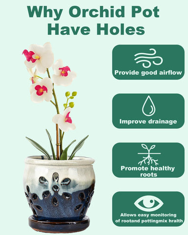 Vensovo pot for indoor and outdoor use on shelves or patios.