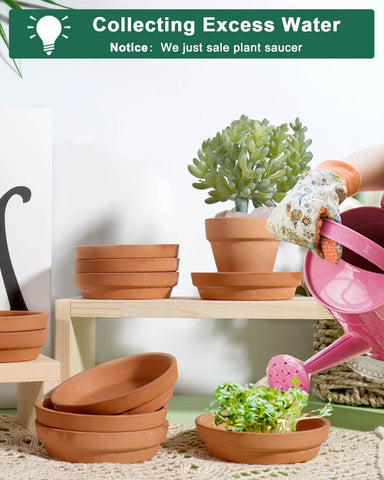 vensovo saucer used indoors for a tidy plant display.