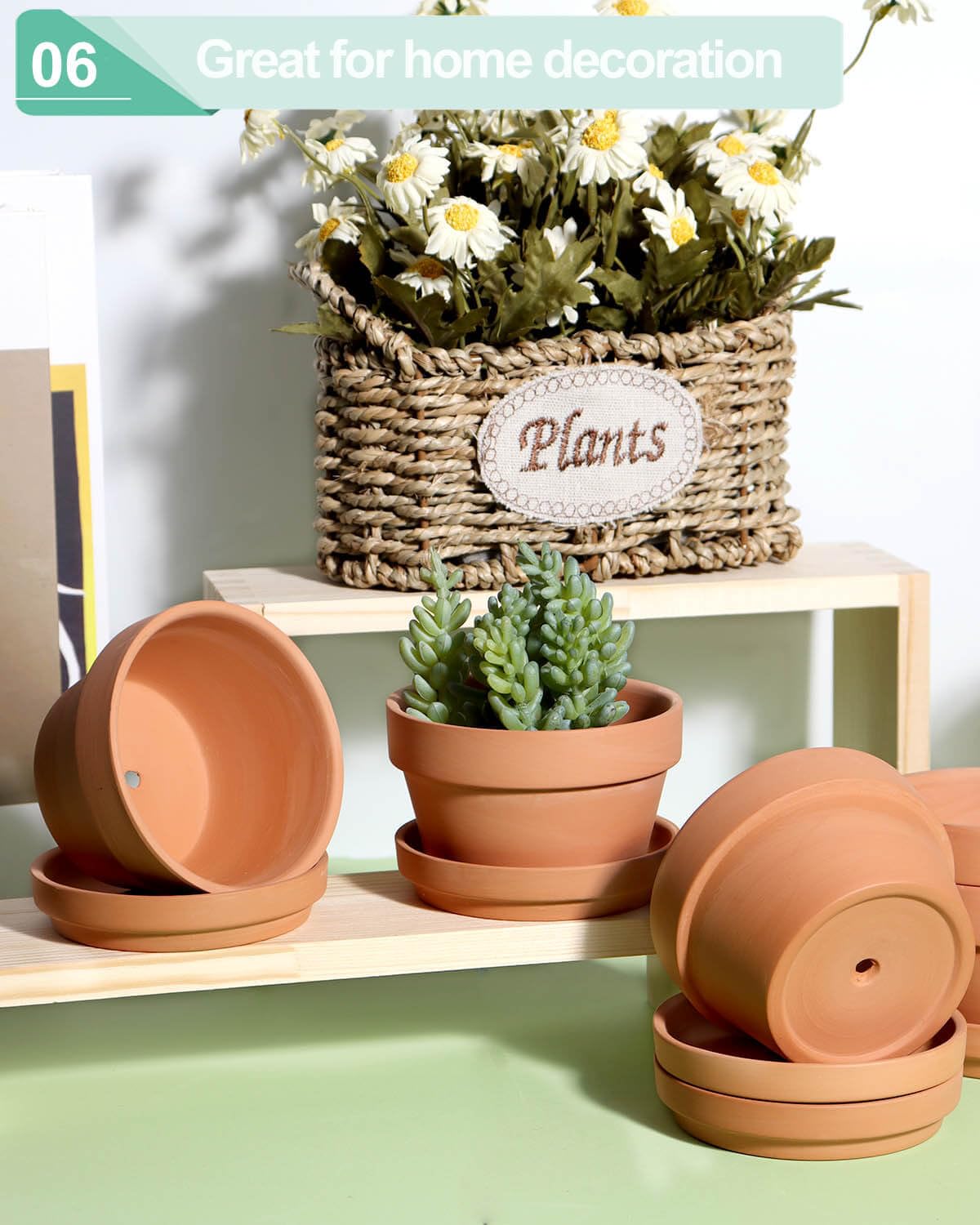Vensovo pot for indoor and outdoor use suits cacti and succulents.
