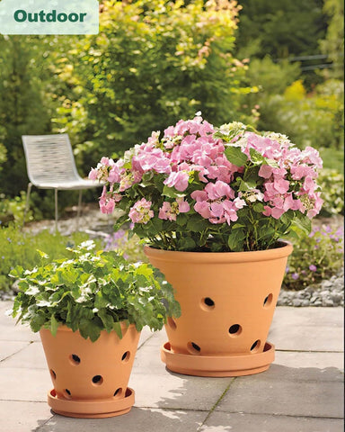 Vensovo multipurpose pot suitable for orchids, succulents, and herbs.