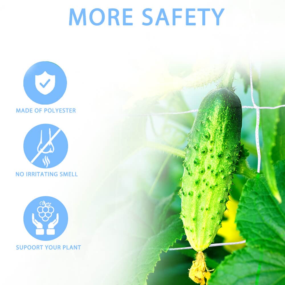 vensovo netting on climbing beans showing reliable plant support