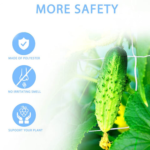 vensovo netting on climbing beans showing reliable plant support