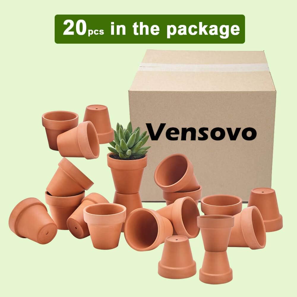 Vensovo nursery planter pack for classroom plant projects.