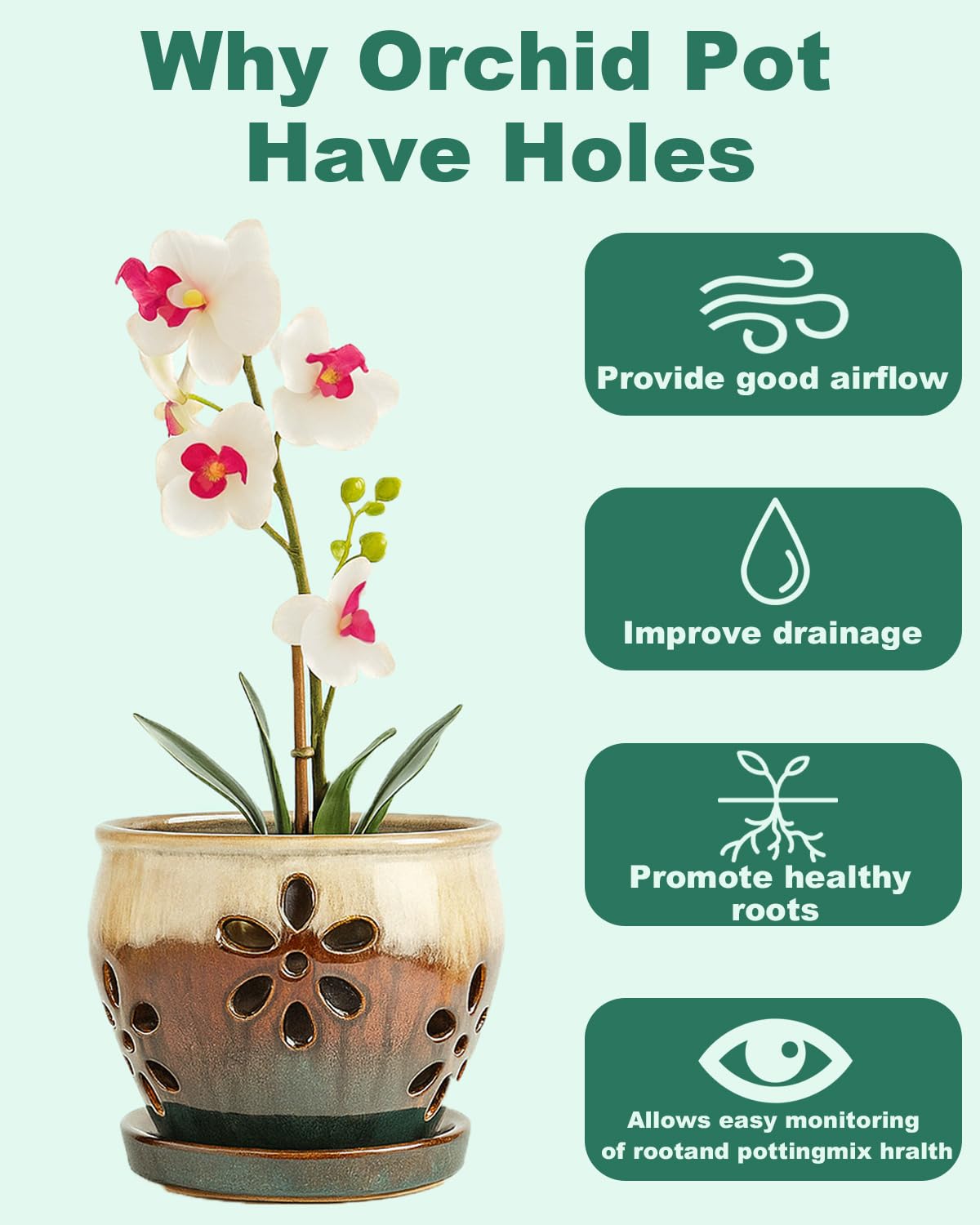 Vensovo olive-green orchid pot close-up reveals glossy, durable glaze.