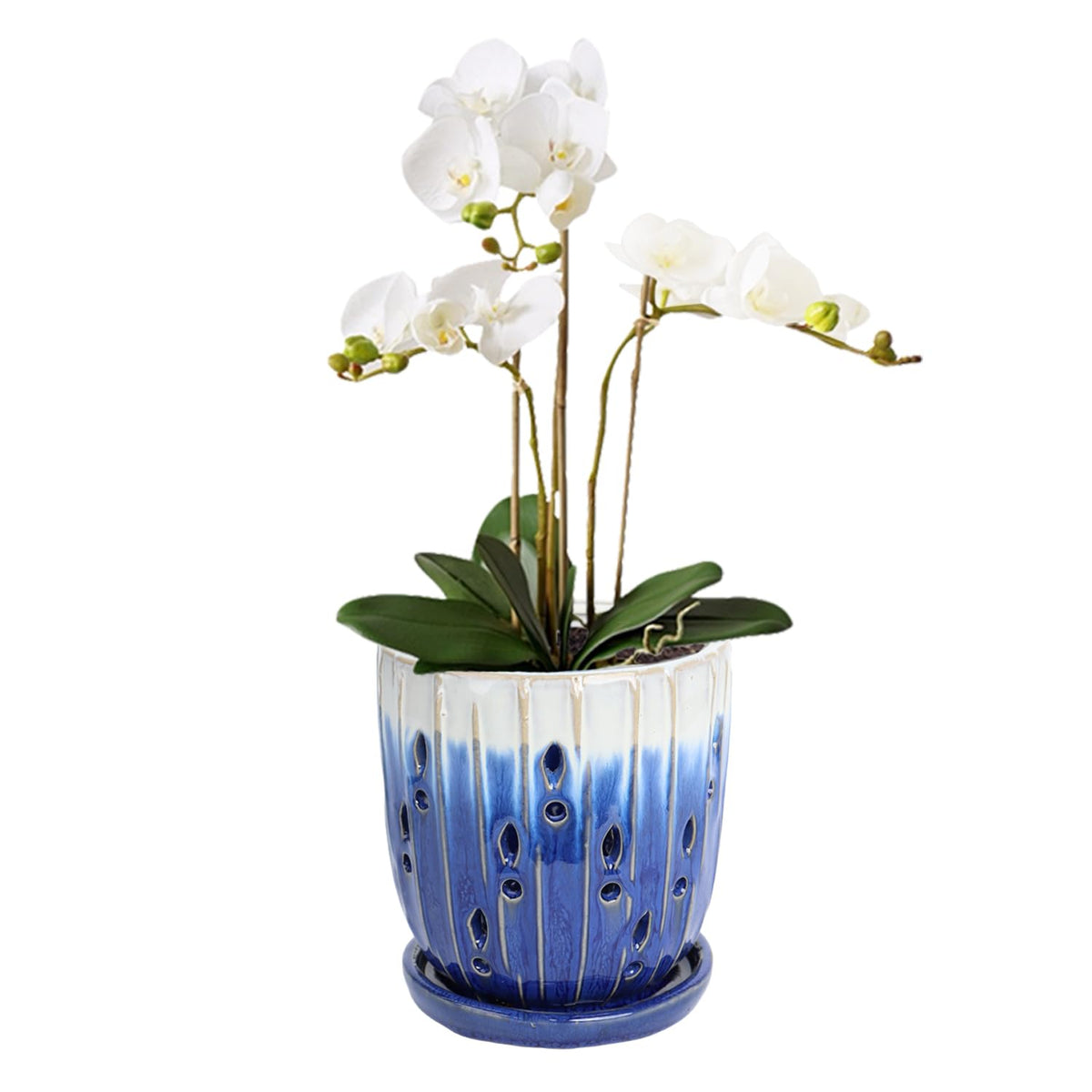 vensovo orchid pot with drainage holes for better airflow